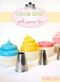 Cupcake Decorating Basic Icing Frosting Piping Techniques