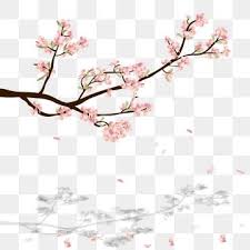 Watercolor Sakura Frame Background With Blossom Cherry Branches Sakura Blossom Hand Drawn Png And Vector With Transparent Background For Free Download In 2020 Vector Flowers Flower Backgrounds Tree Wedding Invitations