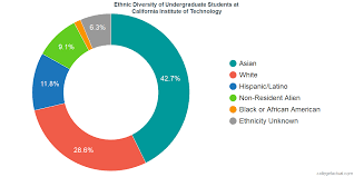 California Institute Of Technology Diversity Racial Demographics Other Stats