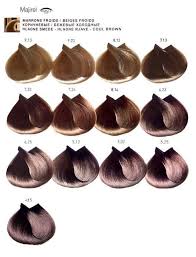 Pin By Dilek Yuce San On Ash Brown Loreal Hair Color Professional Hair Color Chart Hair Color Chart