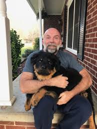 German shepherds are courageous, keen, alert and fearless. Rottweiler Puppy Coat