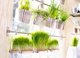 Accesorii Pentru Gătit Vase Pentru Gătit Si Multe Altele Ikea Window Herb Garden Herb Garden In Kitchen Raw Food Kitchen