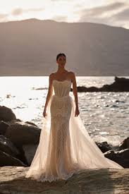 Image result for Bridelia duvigneaudii