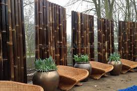bamboepalen bamboestammen tonkinstokken bamboestokken bamboebouwnederland nl nl tuin afscheiding tuin japanse tuin