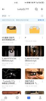 LuckQL777资源合集（49.8G 702p45v pikpak网盘） - 国产视频- 司机社