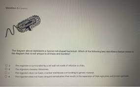 Solved Question 2 7 Points Lit N The Diagram Above Repr Chegg Com