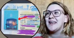 Driver's License Comes Back With Photo Of Empty Chair