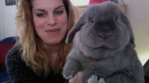 I don't think their personalities are better than many other breeds, but they have instant appeal to most people while other breeds don't. Mini Lop Vs Holland Lop What S The Difference With Pictures Pet Keen