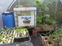 Aquaponik Von Bioponic Schiller Landwirtschaft Landwirt Bio