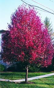 Maybe you would like to learn more about one of these? Pin On Outdoor Spaces