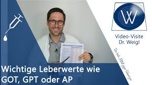 Wichtige Leberwerte Erhoht Got Gpt Gamma Gt Verbessern Senken Bedeutung Ursachen Verstehen Youtube