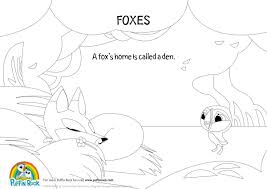 780 x 1023 jpeg 68 кб. Puffin Rock On Twitter Feeling Foxy Check Out Our Fox Facts Colouring Pages