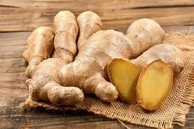 Check spelling or type a new query. Tematik Salman Fun Quiz Quizizz