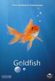 Pin On Aquarium Dvd Downloads