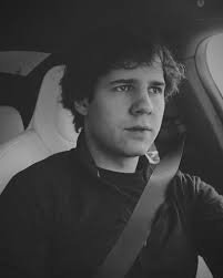 Unabashed Girl — Hiiii can you write a David x reader where they go...