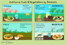 An A Z Guide To California Fruits And Vegetables