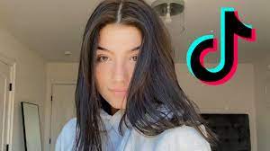 It's a thick slice of bold colour (pink, blue, green, you name it, it works) applied to the underlayer of your hair, hidden beneath your natural colour. Charli D Amelio Slams Disgusting New Tiktok Trend Dexerto
