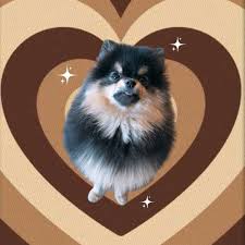 · he lives with rm's parents. Soo Choi Slow On Twitter Rm On Weverse 0906 Army Happy Birthday Kim Tannie Rm Ah When Is Monie S Bday Monie Rapmon Is Rm S Dog S Name Bts Twt Https T Co Ecu59oc7ag