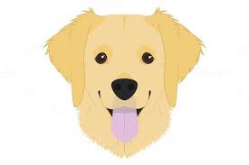 Golden Retriever Vector Illustration Golden Retriever Cartoon Golden Retriever Illustration Golden Retriever Vector