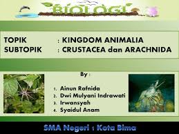 Hewan ini dipercaya bisa menyembuhkan beberapa penyakit. Topik Kingdom Animalia Subtopik Crustacea Dan Arachnida Ppt Download