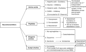 Inhibitory neurotransmitters: these types of neurotransmitters have inhibitory effects on the neuron; Classification Of Neurotransmitters Download Scientific Diagram