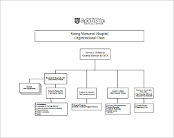 26 rational organizational structure chart template word