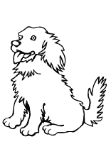 We did not find results for: Malvorlagen Hunde
