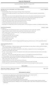 Mentioning your skills is an essential part of your resume career objective and since the profile of a software engineer is a technical one, it is important to add the requisite skills in your software engineer resume objective. Staff Data Engineer Resume Sample Mintresume