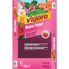 It kills tough weeds to the root and promotes lush green growth without burning. Vigoro 20 Lb All Season Rose Plant Food 162116 The Home Depot