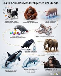 Julio Morales | Kingxity TV | Los 10 animales más inteligentes del mundo. |  Instagram