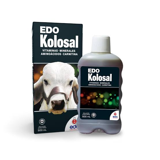 Edo Kolosal (Vitamins, Minerals, Amino Acids & Carnitine) 500ml Sterile Injection, AI generated