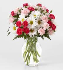 Check spelling or type a new query. Owens Flower Shop Greenhouses Inc The Ftd Sweet Surprises Bouquet Marietta Ga 30064 Ftd Florist Flower And Gift Delivery