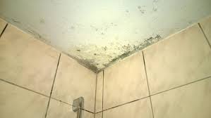 Besonders das badezimmer ist anfällig für schimmelbefall.dies liegt vor allem an der hohen luftfeuchtigkeit, die dort nach dem duschen oder baden entsteht.wird nur unzureichend gelüftet, sind einer schimmelbildung tür und tor geöffnet. Schimmel Im Bad Uber Der Dusche Luftung