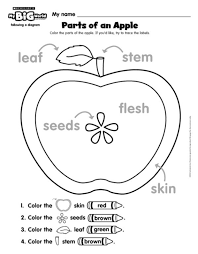 Apple Worksheet For Kindergarten Worksheet For Kindergarten Apple Kindergarten Apple Lessons Apple Preschool