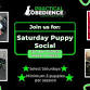 Saturday Puppy Social event in Suamico, WI