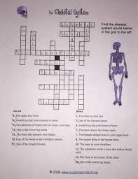 There are 30 words and this. Solved Te Skeletal Sygtem Find The Skeletal System Words Chegg Com