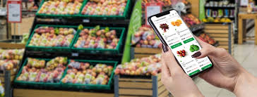 How to open a retail store: How Much Does It Cost To Launch An Online Grocery Store Website App 01