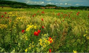 J'étais tu étais il était nous étions vous étiez ils étaient. Fromage D Ete