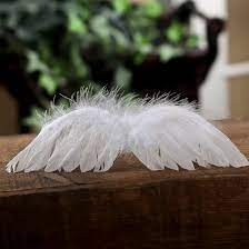 Apply a dot of glue from a hot glue gun to the tip of each feather where it will be attached to the base. Small Angel Wing Novocom Top