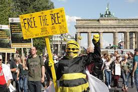 From contact vicent news on messenger. Protests Over Covid 19 Policies In Germany Wikipedia
