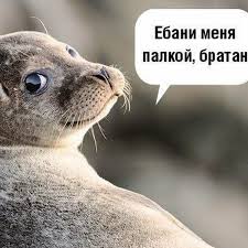 С 15 декабря pixiv запретит выплаты авторам, создающим «неэтичный» контент   Anime (RDR, Reshotka Democratic Republic) :: цензура :: фэндомы   картинки, гифки, прикольные комиксы, интересные статьи по теме.