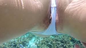Snorkeling trips with hot tourists