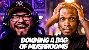 First Time Watching Ali Siddiq ‐ The Trip: Downing a Bag of Mushrooms  Reaction