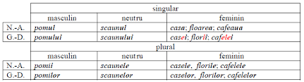 Inlocuiti punctele cu formele articolului hotarat si nehotarat si apoi traduceti substantivele in limba romana: Declinarea Substantivelor Comune Diacritica