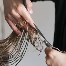 Check spelling or type a new query. Women S Haircuts Services Salon Lapage