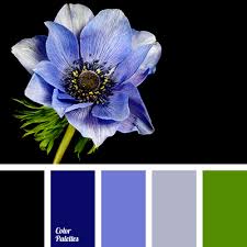 We did not find results for: Blue And Black Color Palette Ideas