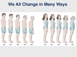 Image result for human body composition