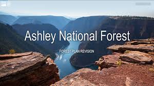 Ashley national forest is a national forest located in northeastern utah and southwestern wyoming. Region 4 Media Tools