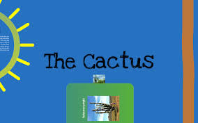 Cactus by David Moscol