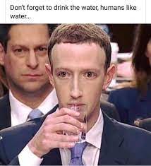 10 Zuckerberg Memes Ideas Memes Zuckerberg Dankest Memes